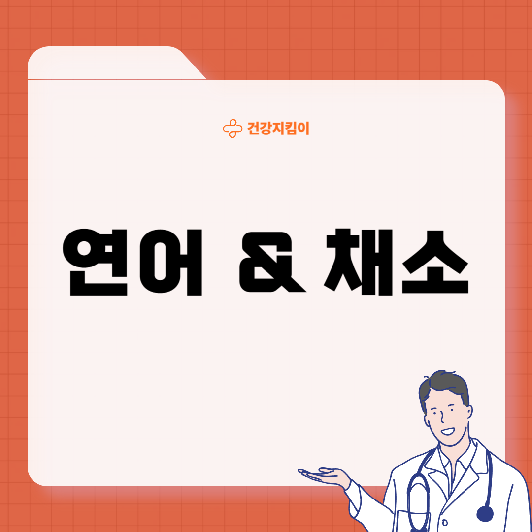 다이어트 식단 추천 레시피 요리