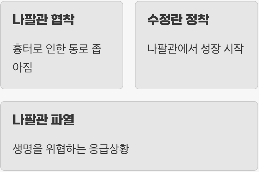 길 잃은 수정란의 비극, '자궁 외 임신'