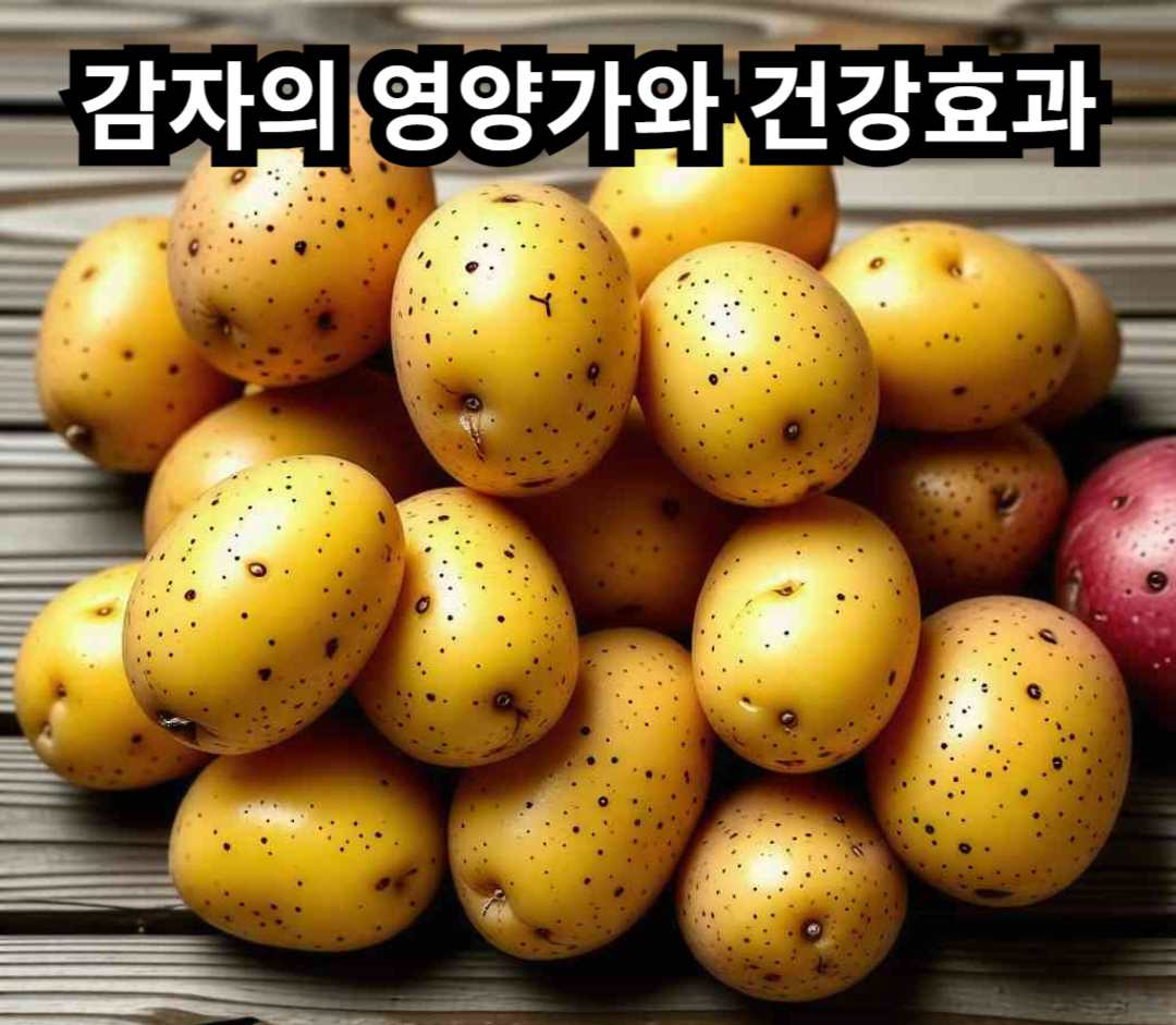 감자
썸네일