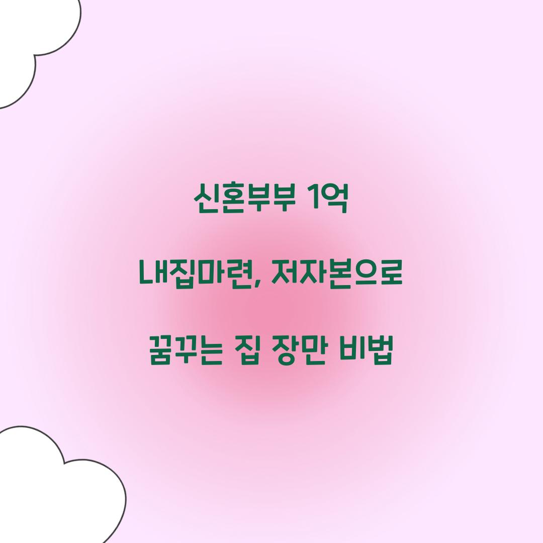 신혼부부 1억 내집마련