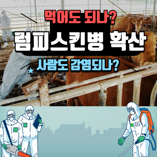 알트태그-소 럼피스킨병 포스팅의 썸네일