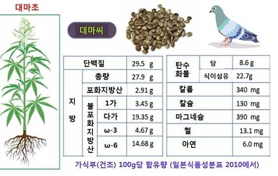 햄프 씨드 효능