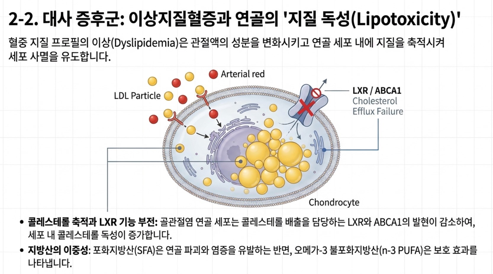 고지혈증과 관절염