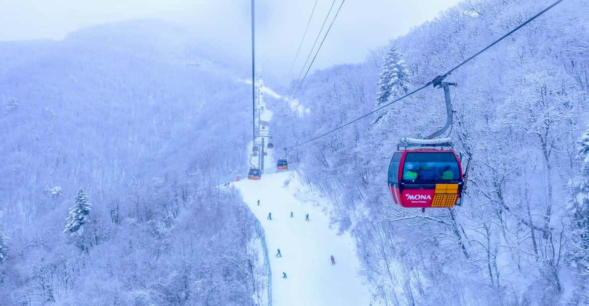 평창 발왕산 케이블카 예약하러 가기
