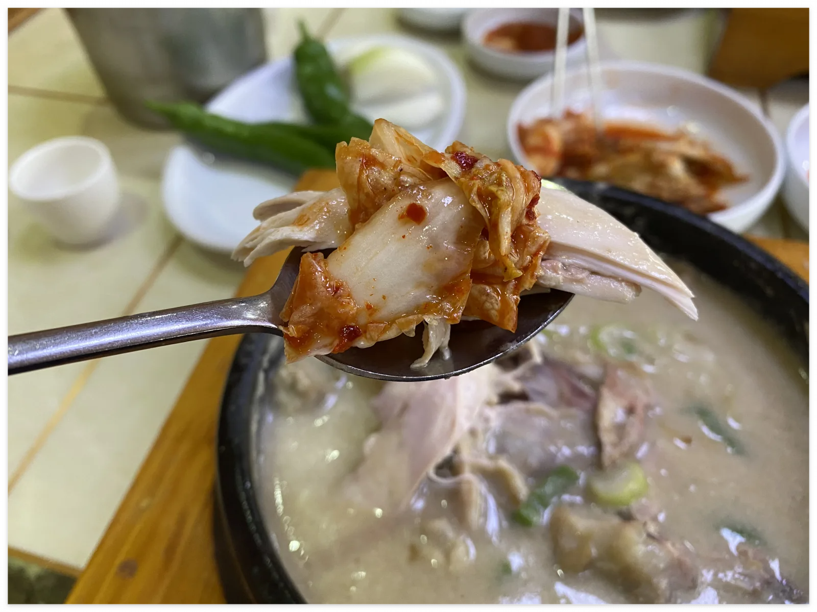 일산-삼계탕-맛집-장수토종삼계탕-김치와-닭고기-이미지