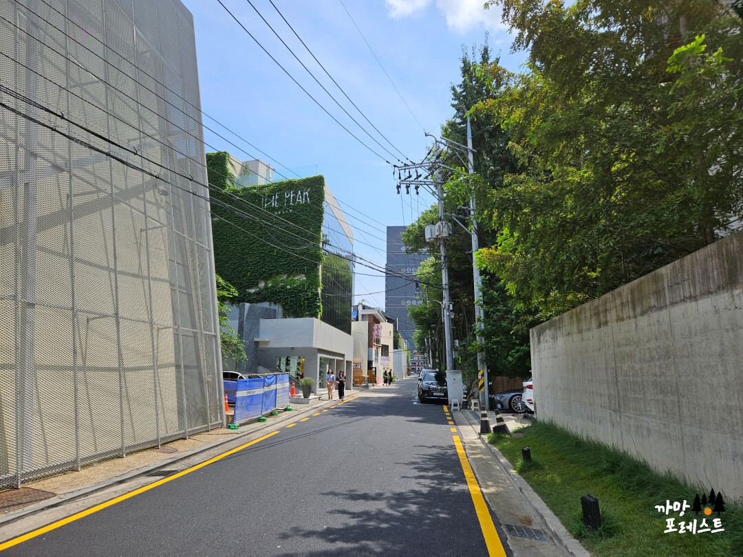 누데이크 하우스 도산 가는길