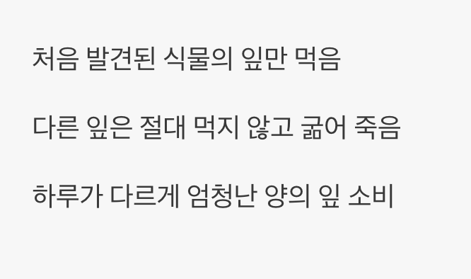 까다로운 미식가의 식단, 오직 한 가지 메뉴