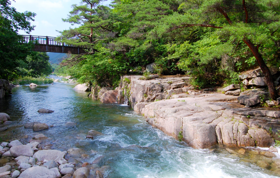 쌍곡계곡 맛집 보러가기
