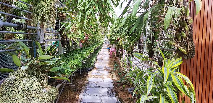 생방송오늘저녁 희귀 난초 온실 농원 경기 김포 체험농장 가든 카페 추천