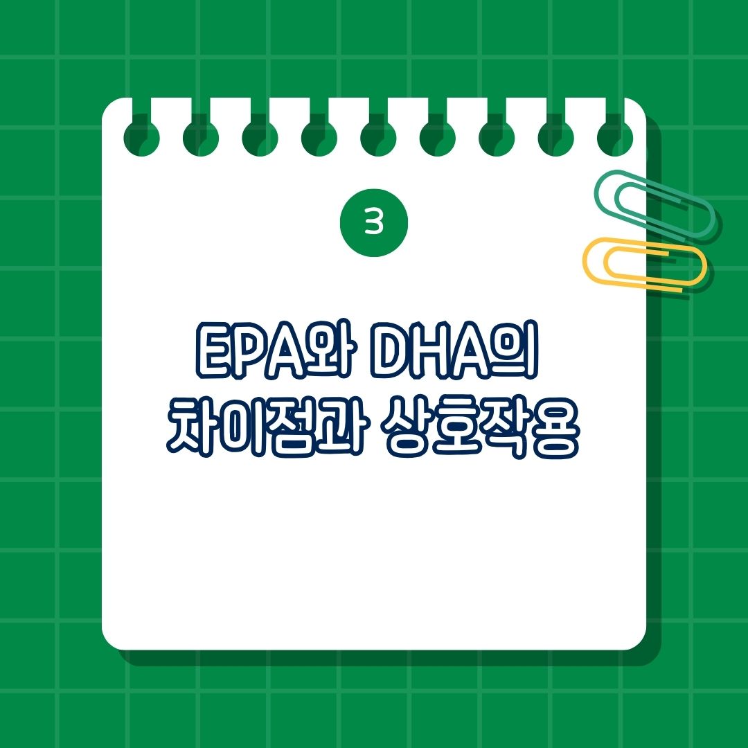 EPA와 DHA의 차이점과 상호작용
