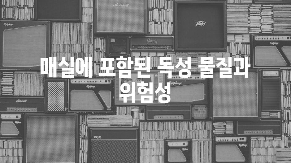 매실에 포함된 독성 물질과 위험성