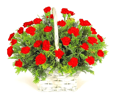 하얀 바구니 안에 붉은 카네이션들이 수십개 있다. 초록색 잎들도 풍성하다.