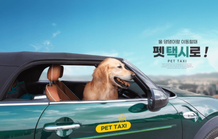 펫택시
