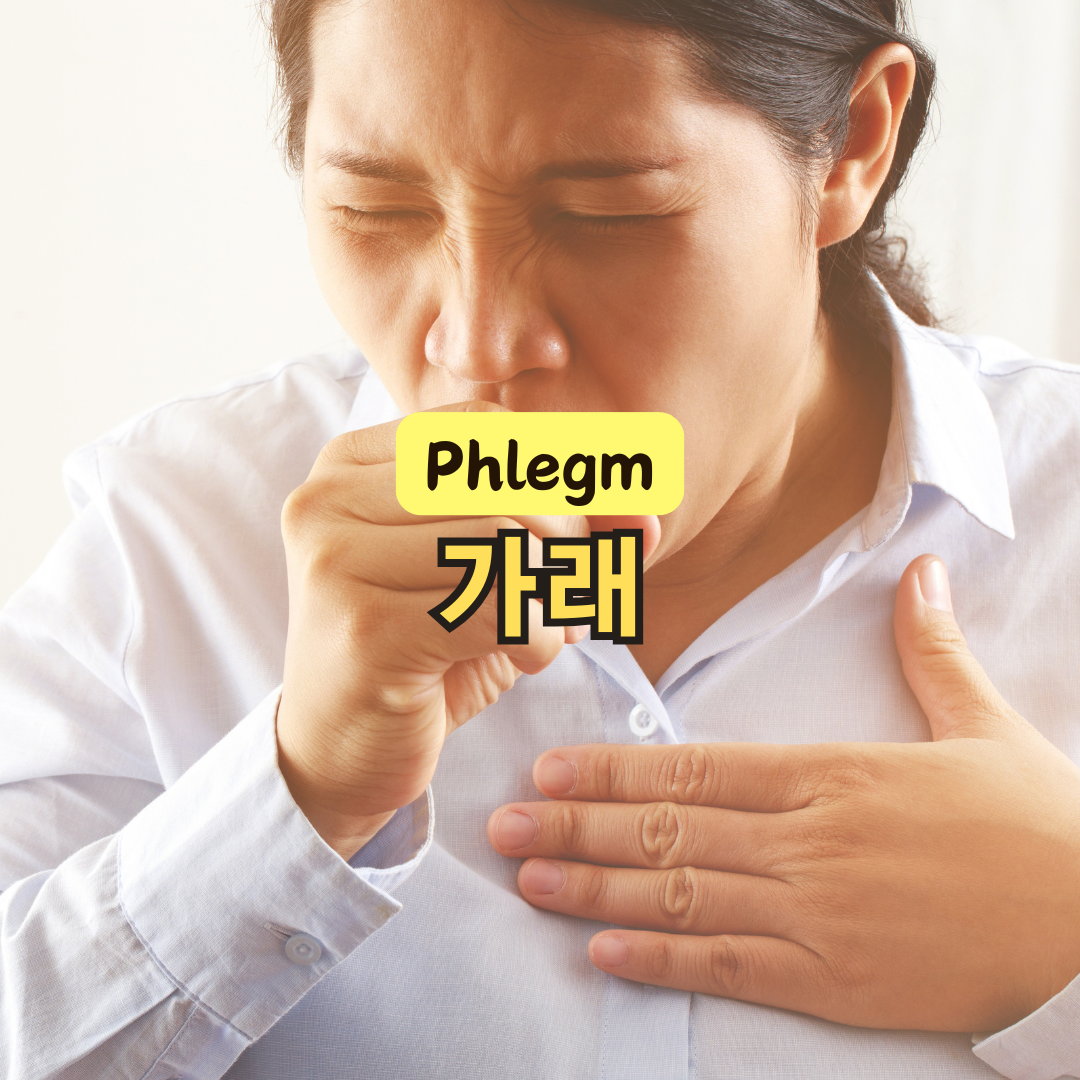 가래 줄이는 법과 감기의 연관성, 원인까지 알아보기