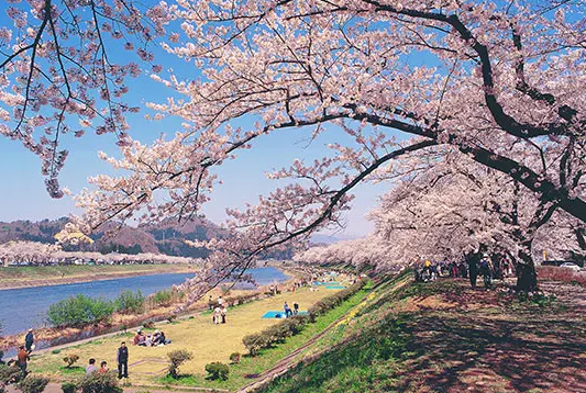 아키타의 가쿠노다테 : 사무라이 거리와 벚꽃 명소