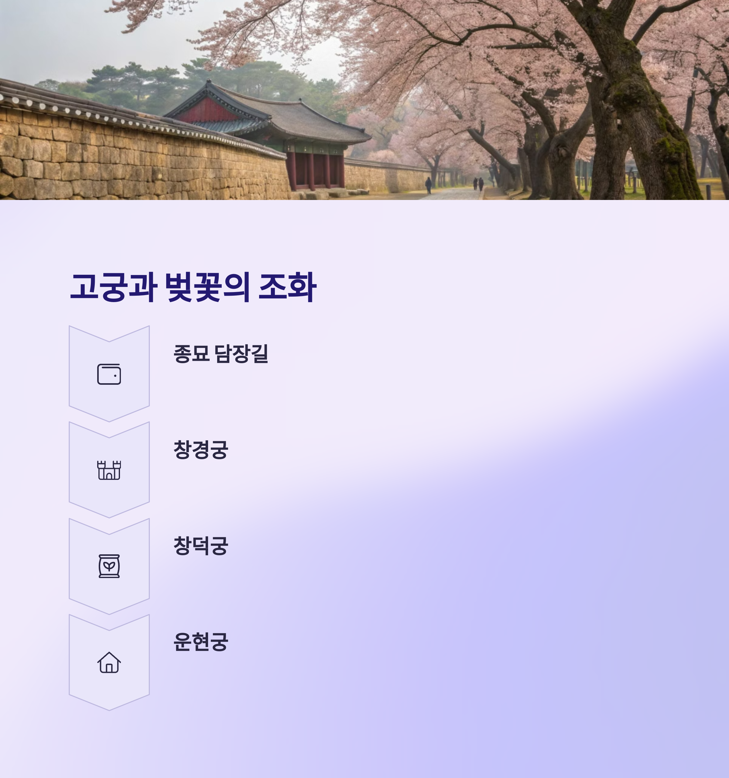 고궁과 벚꽃의 조화