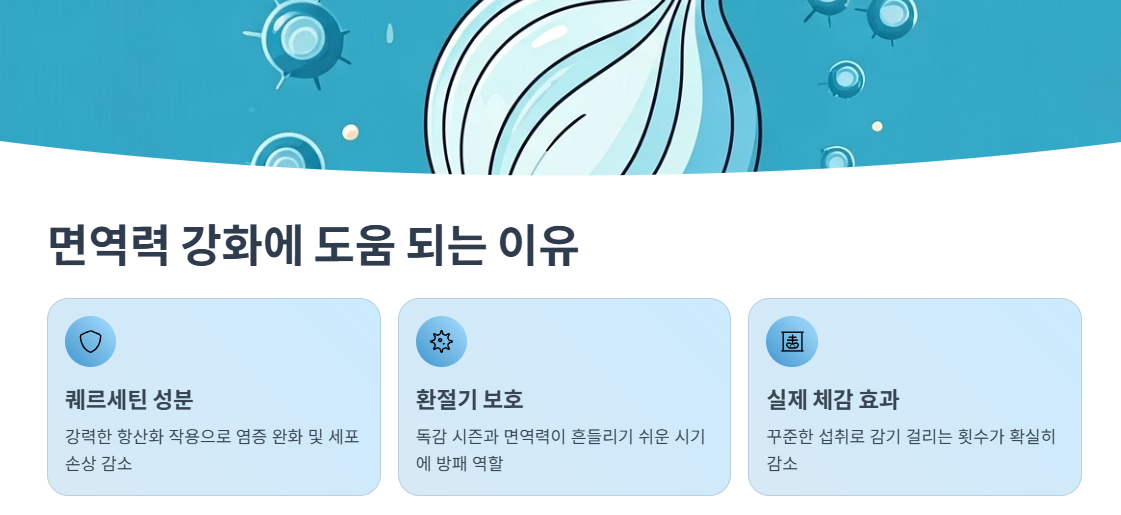 면역력 강화에 도움 되는 이유