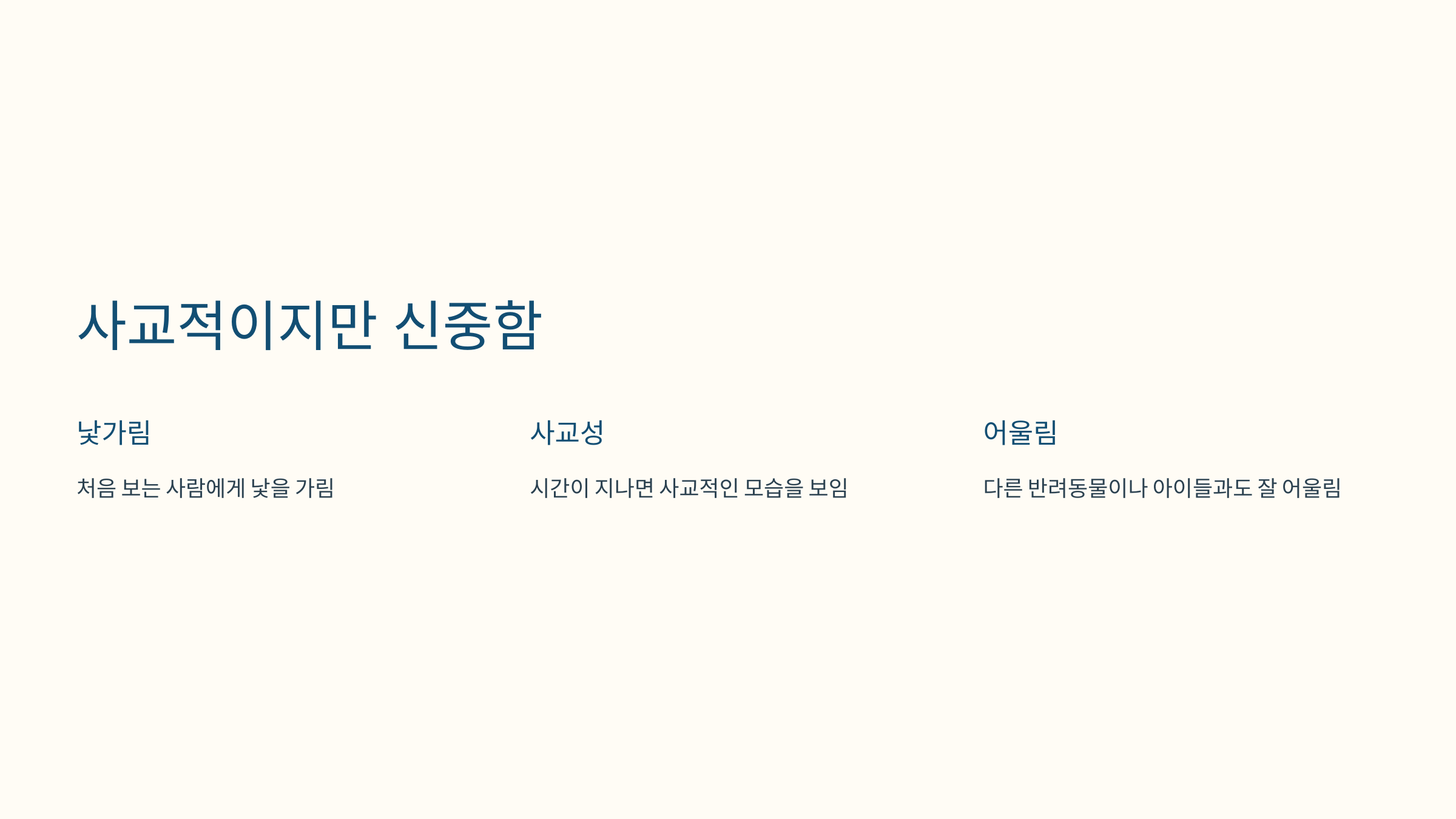 러시안블루 고양이 사진입니다.
