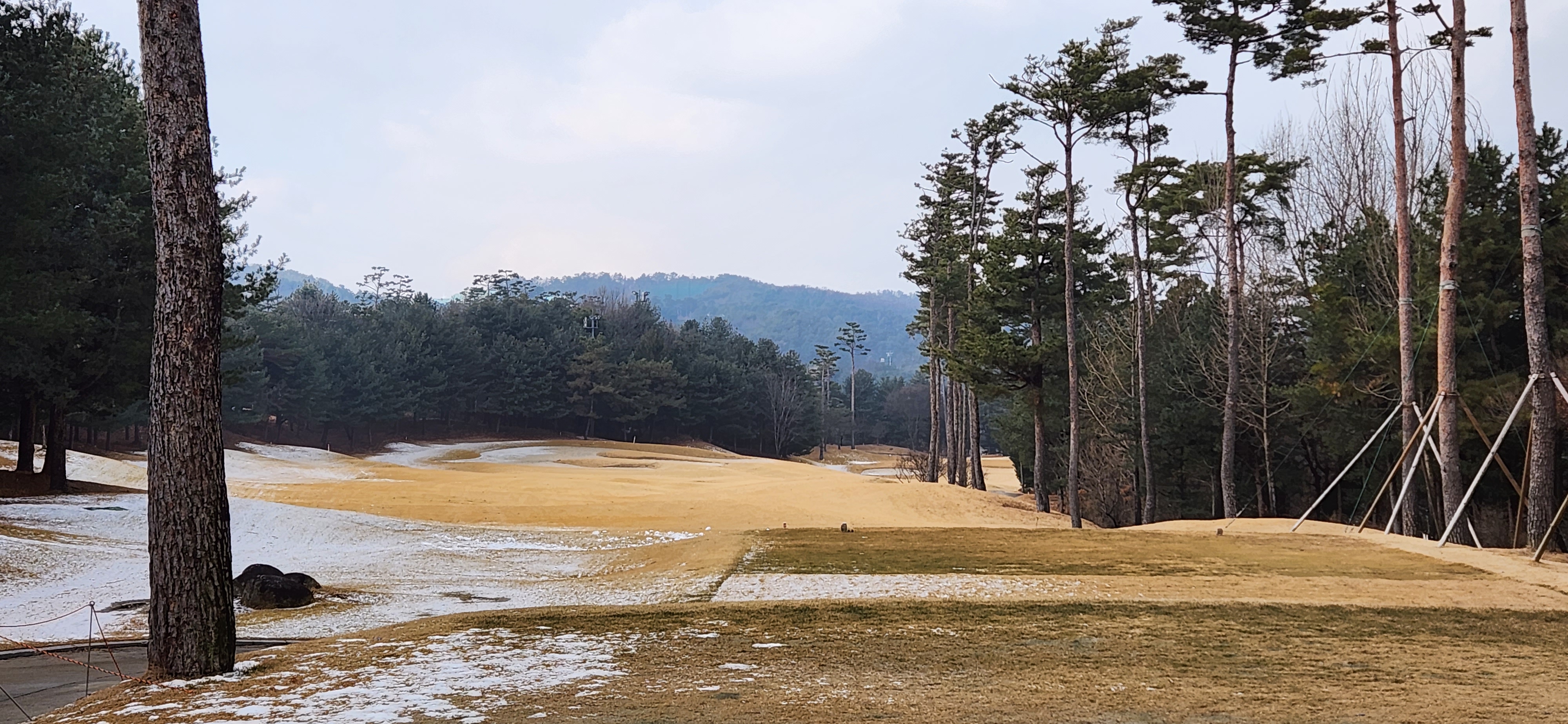 솔모로cc