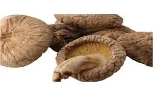 표고버섯