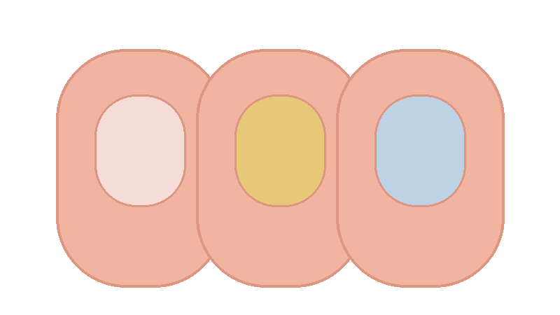 손톱 색 변화로 보는 건강 신호: 창백&middot;노란색&middot;푸른빛&middot;검은색 변화의 감별 포인트