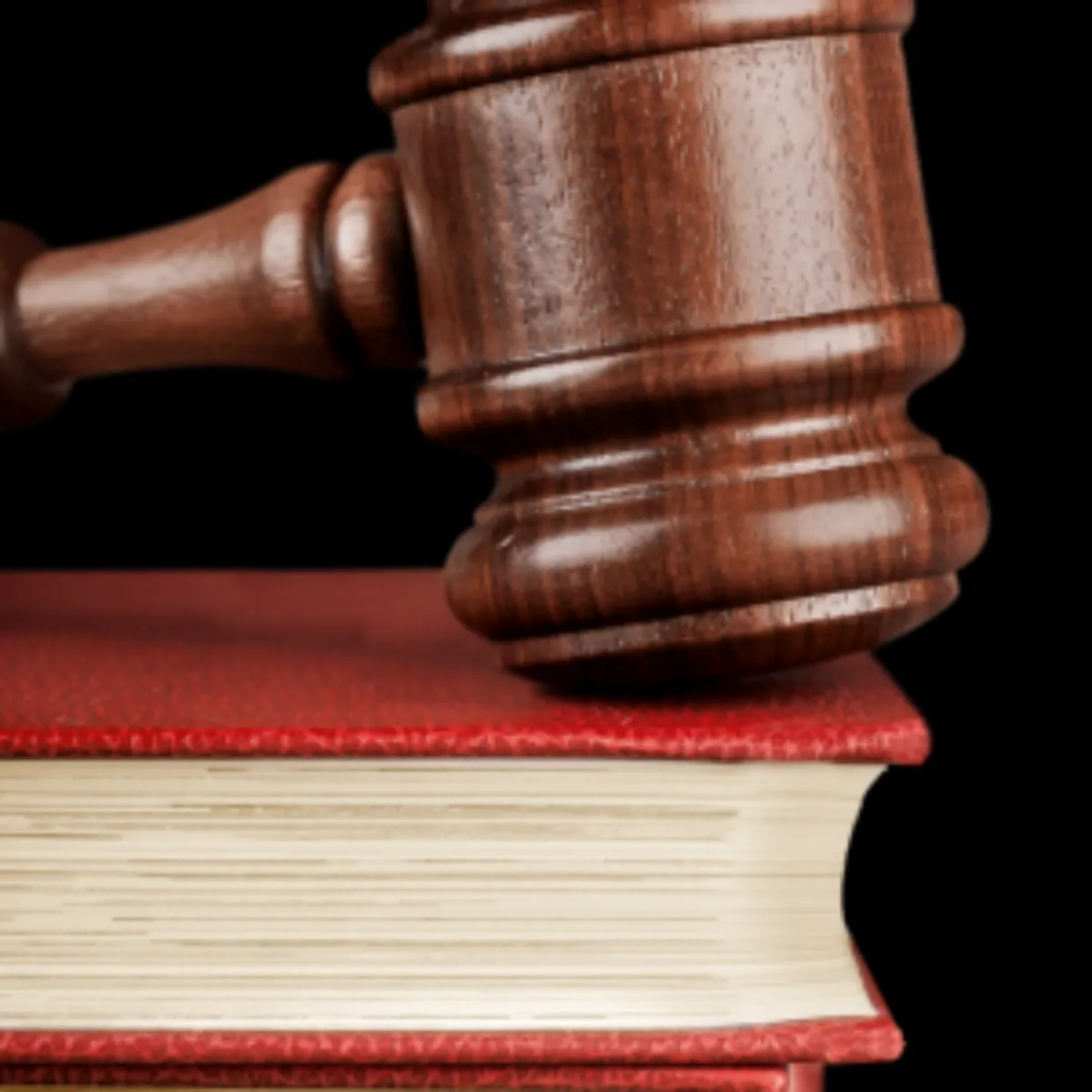 의원내각제와 대통령제 차이점