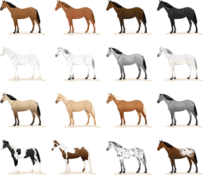 2026년 신년운세 무료로 미리 확인하는 법