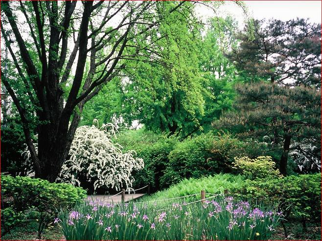 국립산림과학원 홍릉시험림의 풍경