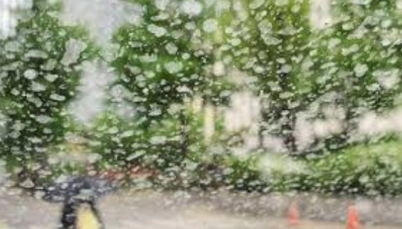 황사비 발생시기 원인 및 건강 피해 정리