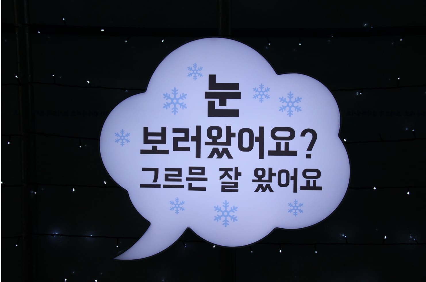 대관령 눈꽃축제 기본정보