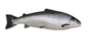 비타민d 부족증상 하루 권장량