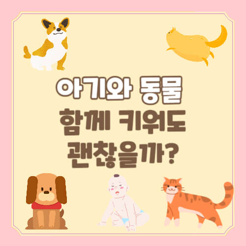 아기와 반려동물, 아기와 고양이, 아기와 개, 아기와 강아지, 아기와 반려동물 환경, 아기와 반려동물 분리