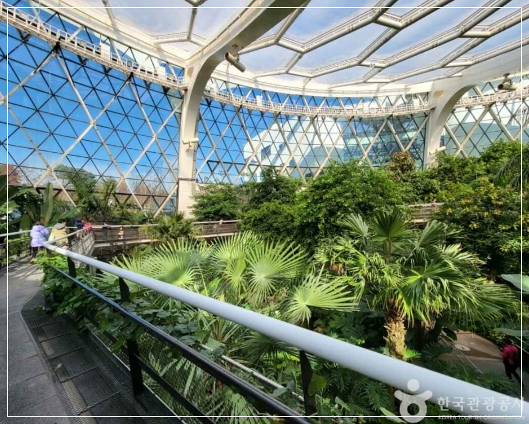 서울 가볼만한곳 베스트10 서울식물원