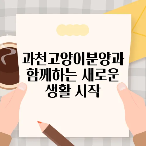 과천고양이분양과 함께하는 새로운 생활 시작