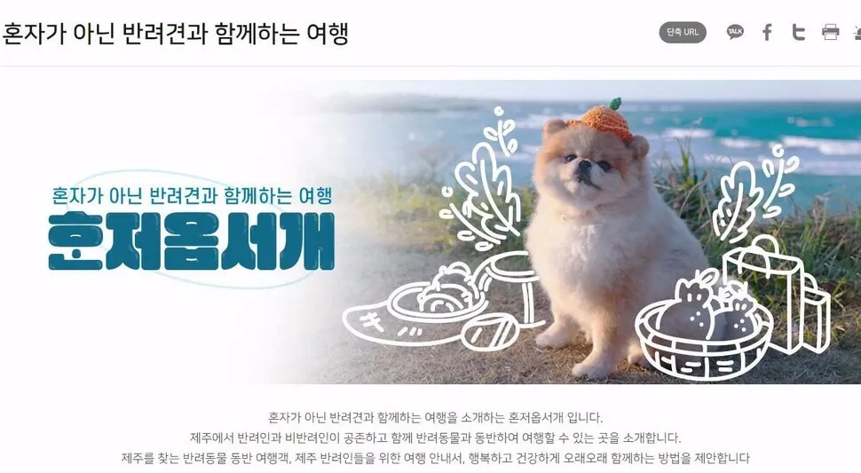 제주 반려견과 함께 가기 좋은 펫프렌들리 숙소 리스트_2