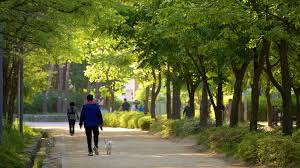 2024 별 헤는 서울숲 프로그램