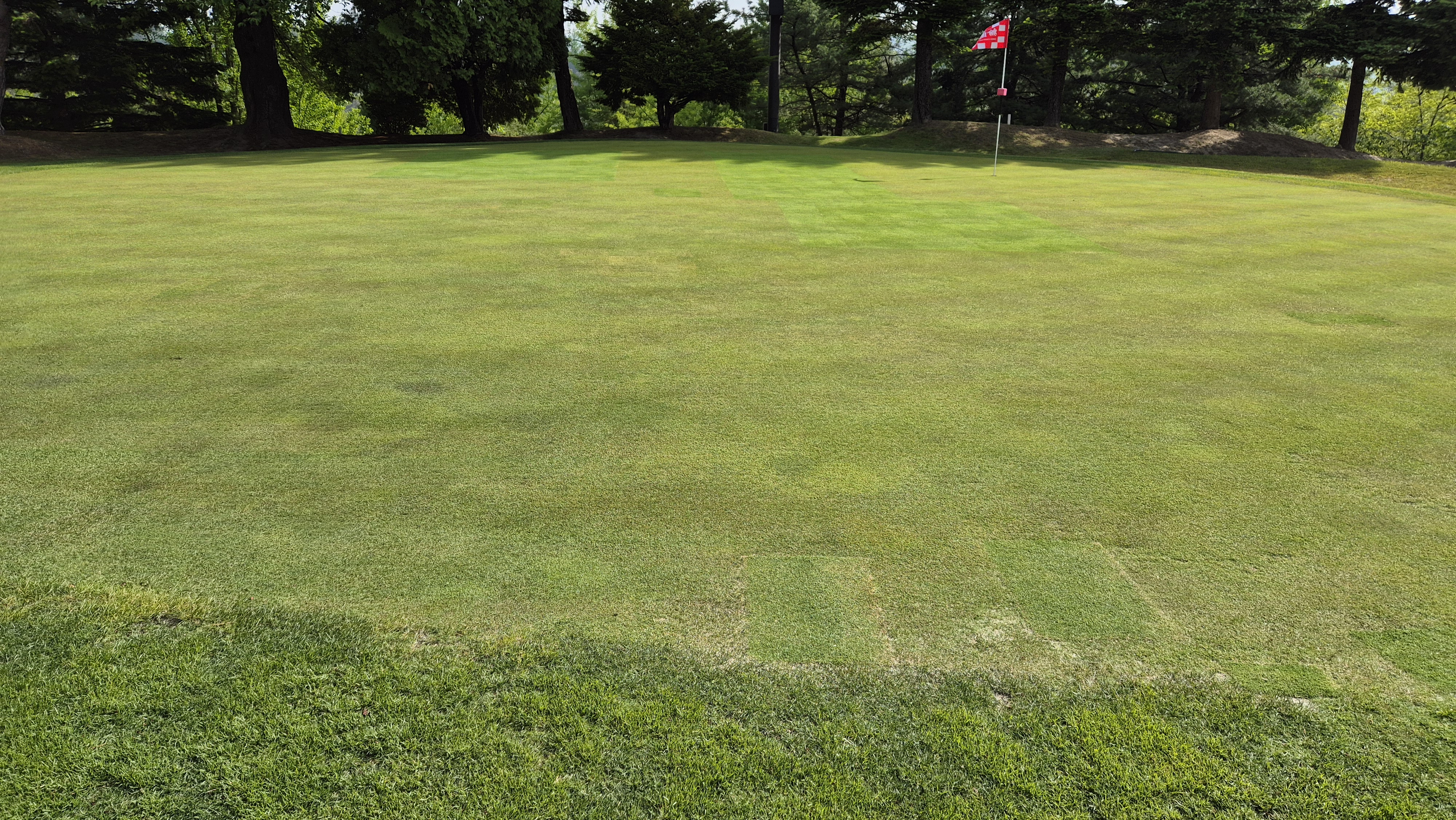 한원cc 라운드후기