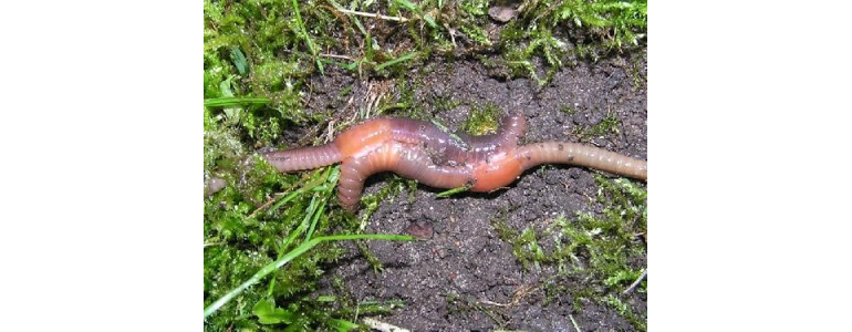 여주시 낚시용품