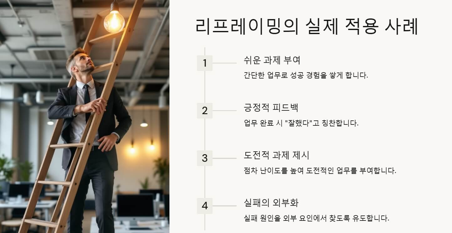 리프레이밍