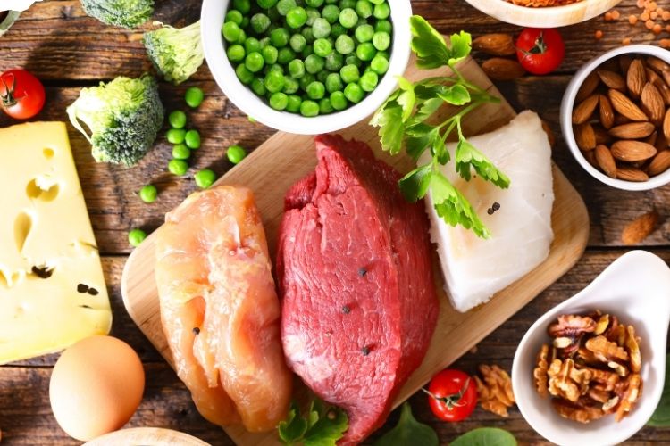 단백질이 풍부한 식품