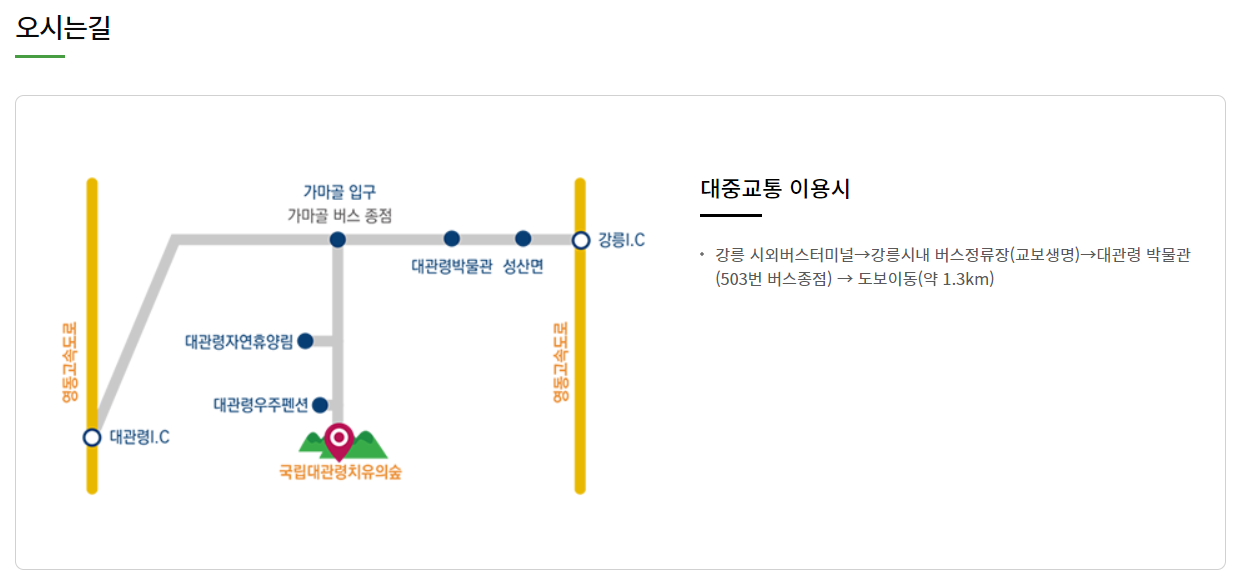 대관령 치유의 숲 사전 예약 가는 길