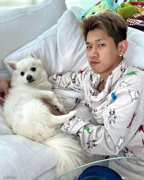 크러쉬 허리디스크 수술