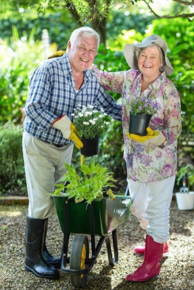 시니어를 위한 은퇴 후 취미 활동 Top 5