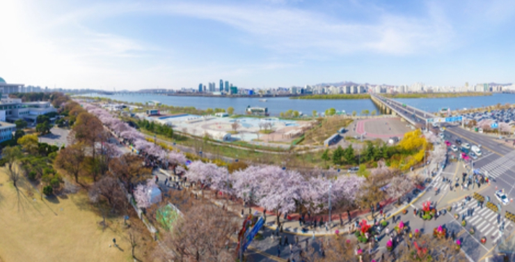 여의도 벚꽃축제 일정