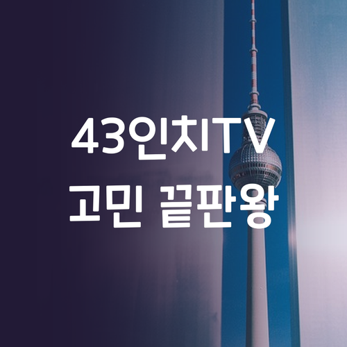 43인치 TV 고민 끝 DX 4K U..