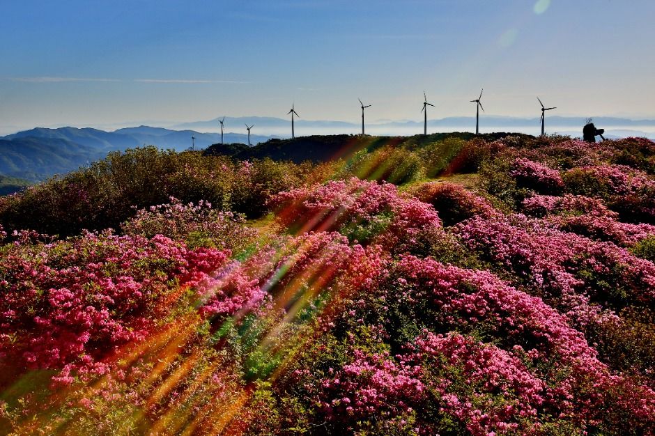 의령 가볼만한곳 베스트10