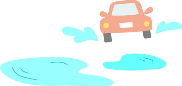 침수차량-기준-확인-방법