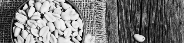 땅콩버터 보관법: 실온