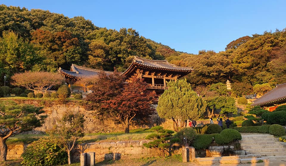 문화/연예 이슈 관련 이미지