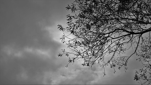 디지털 미니멀리즘이 인간관계에 미치는 영향